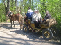 Białowieżan kansallispuisto
